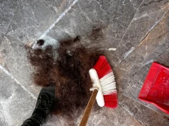 Włosy z salonów fryzjerskich... trafiają do lasów. Jelenie są wściekłe, drzewa zachwycone