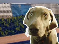 Do tego hotelu taniej wziąć męża, niż psa. Cennik Gołębiewskiego w Pobierowie zadziwia