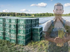 Niemcy: Trwa desperackie poszukiwanie pracowników. „Bez Polaków nie damy rady”