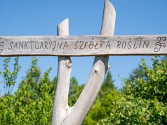 Tulipany, lilie i pomoc. Szkółka działa przy licheńskim sanktuarium