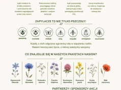 KNELSEN Polska głównym patronem akcji „ZasiejMy Naturę” – 500 szkół, tysiące uczniów i jeden wspólny cel