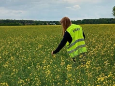 Kontrole PIORiN w gospodarstwach. Tych dokumentów może zażądać inspektor