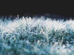 Zamiast letniego ciepła – minusowe temperatury. Podkarpacie w strefie alertów IMGW