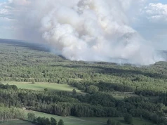 Duży pożar lasu pod Warszawą. W akcji samoloty i Black Hawk