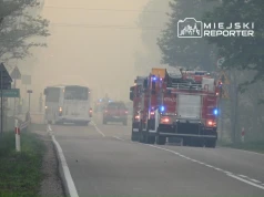 250 strażaków, 4 samoloty, śmigłowiec. Do walki z pożarem lasu zadysponowano ogromne siły. Ewakuowano jedną miejscowość
