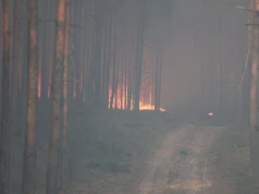 Strażacy z naszego regionu jadą pomagać w akcji gaśniczej pod Warszawą. Zadysponowano moduł GFFF