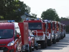 Duży pożar lasu pod Wołominem. Z ogniem walczy ponad 60 zastępów straży pożarnej