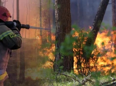 Ogień objął ponad 100 hektarów. Trwa walka z pożarem lasu na Mazowszu
