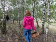Ten grzyb zaczyna pojawiać się w lasach. Idealny do zupy i sosu