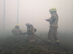 Ogromny pożar lasów na Mazowszu. Ogień objął ponad 100 hektarów, w akcji setki strażaków i wsparcie z całego kraju