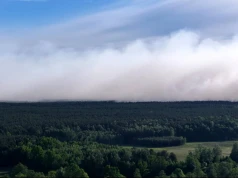 Potężny pożar na Mazowszu, 100 ha lasu w ogniu. Nowe informacje
