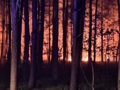 Ponad 100 hektarów lasu w ogniu. Trwa jedna z największych akcji gaśniczych na Mazowszu