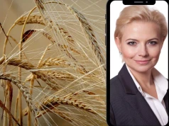 Polsce zostało 7 mln ton zboża. Co będzie z cenami przed żniwami?