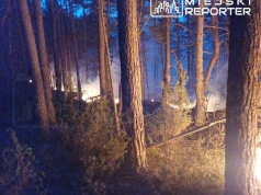 Pożar lasu pod Warszawą. Sytuacja stabilna, ale wciąż nieopanowana