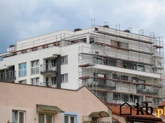 Pewnego dnia pod blok wjechały koparki. Kilka miesięcy z okna zamiast parku widzi nowy apartamentowiec