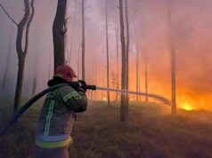 Pożar lasów w powiecie wołomińskim. Trwa walka z ogniem