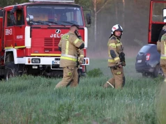 ​Spłonęło ponad 300 ha lasu. Najnowsze ustalenia ws. przyczyn pożaru na Mazowszu