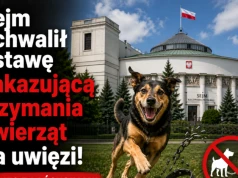 Sejm uchwalił ustawę zakazującą trzymania zwierząt na uwięzi!