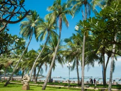 Przygoda w Wietnamie za 3301 PLN 🐉🌏 Hanoi, Da Nang, Ho Chi Minh i Phu Quoc w jednej podróży 🌺🌅