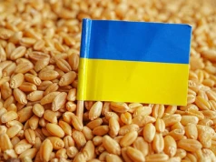 Czy Polska po cichu przygotowuje się na przyjęcie ukraińskiego zboża?