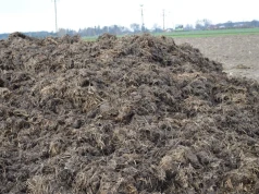 Przywieźli obornik i od razu rozrzucili. Czy wtedy płyta jest potrzebna?
