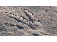 Nowy gigant wśród dinozaurów. Największy dinozaur w Azji Południowej