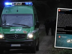 Tajemnicze skrzynie w lesie pod Nidzicą. Na miejscu pojawiła się Żandarmeria