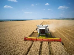 Używane kombajny na 100–200 ha. Rolnicy polują dziś na takie maszyny