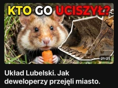 UKŁAD LUBELSKI. Jak deweloperzy przejęli miasto