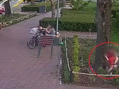 "Rodzice zajęci rozmową, dzieci beztrosko demolują klomby". Służby pokazły zdjęcia