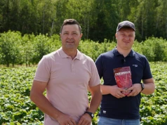 Z wizytą na plantacji – jak uzyskać większe i wyrównane truskawki?