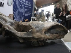 Kiedy Góry Świętokrzyskie były na równiku? Odpowiedź na Geofestiwalu