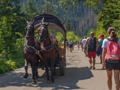 Morskie Oko znowu otwarte, wracają busy. Tyle dutków za bilet