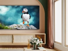 Solidny telewizor QLED 50 cali pochodzenia japońskiego w promocji za 1799 zł