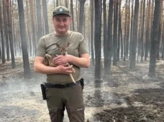 Po wielkim pożarze w powiecie mińskim znaleźli osierocone koźlę. Matka nie przeżyła