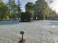 W Krakowie powstała antysmogowa łąka kwietna. Zajmuje ponad 1700 m²