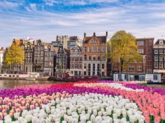 Amsterdam pęka w szwach