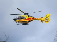 3-latek wpadł do stawu. Dramatyczna akcja ratunkowa pod Bochnią