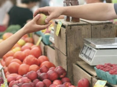 Ile kosztuje życie singla w Polsce? Cena koszyka podstawowych artykułów lekko w górę