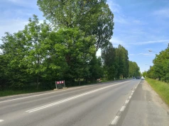 Rozbudowę wschodniego odcinka ul. Lwowskiej rozpoczną od wycinki drzew