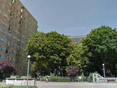 Wola. Chcą wyciąć 100 drzew, by wcisnąć nowy apartamentowiec. "Będziemy się czuli jak na pustyni"