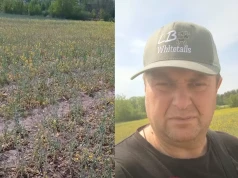 Rolnik apeluje do ministra: Robią z nas idiotów ws. suszy. Może pan skończy z tą patologią?