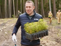 Pszczoły pod ochroną regionu. Milion złotych dla pszczelarzy