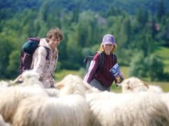 Smakowa debata rozgrzała Polskę. Czy region, w którym żyjemy, decyduje o tym, co najchętniej chrupiemy?