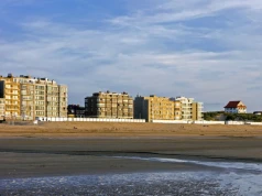 Dziesiątki rekinów na europejskiej plaży. Ekspertka wskazuje powód