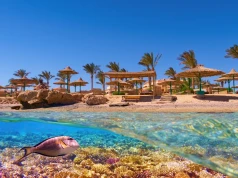 Nurkuj w rafach koralowych Marsa Alam 🐠🌊 Tydzień z all inclusive w 4* hotelu za 1915 PLN