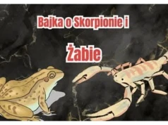 Między Wołyniem a zdradą