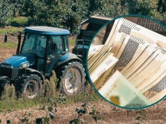 Ruszył nowy program dla młodych rolników. Można zyskać do 300 tys. zł