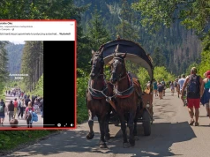 Pokazali nagranie z trasy nad Morski Oko. "Zero przyjemności"