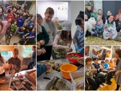 Milion złotych na oddolne inicjatywy. Rusza 13. edycja Dolnośląskich Małych Grantów